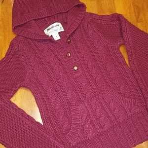 NWOT Hollister Chunky hooded wool sweater